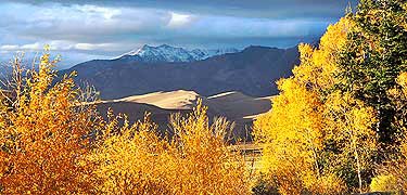 Gold Cottonwoods, Dunes, and Cleveland Peak