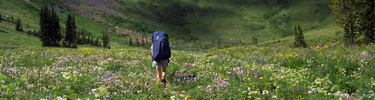Hiker on the Death Canyon Trail