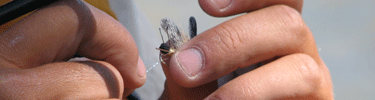 Hands tying a fishing fly