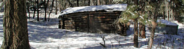The old cabin in the park's highcountry is one of many remnants settlers left behind.