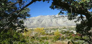 The view from Choza Spring offers a glimpse of the mountains.