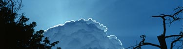 Afternoon Thunderhead