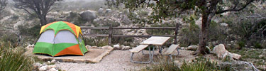 Pine Springs Campground