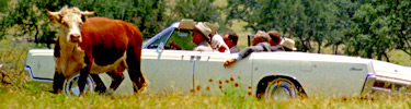 President Johnson drives through the Ranch in his Lincoln Continental Convertible