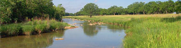 Pedernales River