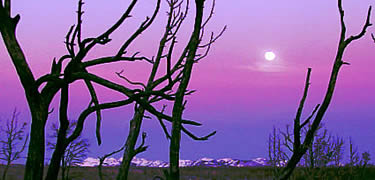 A sunset view of full moon rising over the La Plata Mountains from Chapin Mesa