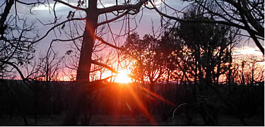 Sunrise on Chapin Mesa