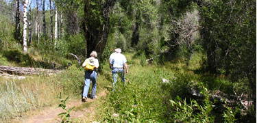 Hiking in Little Emigration Canyon near Salt Lake City, UT
