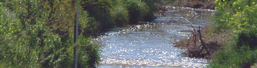 Several emigrants were reported to have been buried near Rawhide Creek after falling ill to disease and sickness.