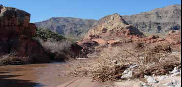 A muddy Virgin River flows past red rock cliffs in Arizona.