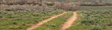 Shortcuts like the Lander Road in western Wyoming sometimes saved hundreds of miles on the emigrant trail to Oregon.