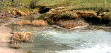 Carbonated waters at Soda Springs, ID