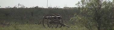 Replica cannon mark the battle lines at Palo Alto.