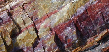 close up of colorful petrified wood, Photo by Marge Post/NPS