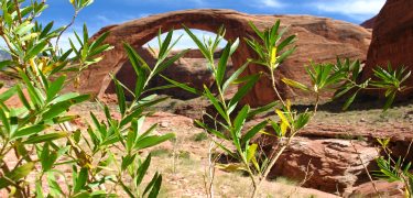 Rainbow Bridge
