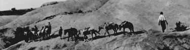 Douglas-Cummings Expedition