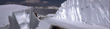 a photo of the snow banks on Trail Ridge Road in spring