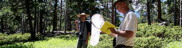 A photo of butterfly researchers