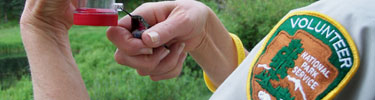 A photo of a research volunteer feeding a hummingbird.