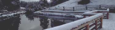 a photo of snow piled up on fences