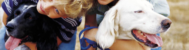 Pets are welcome on a leash