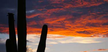 Saguaro Sunset with Storm Clouds Rising