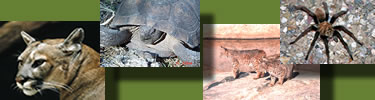 Some of the many critters at the park