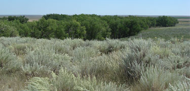 Sand Creek Massacre NHS, credit David Zettner