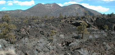 A lava field