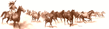 Apache Attack