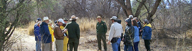 Guided Tour