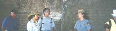 Guided Tour