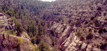 Walnut Canyon view