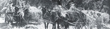 1920 Cable Mountain Workers