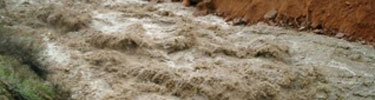 Flash Flood