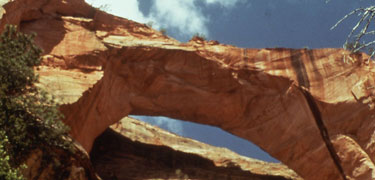 Kolob Arch