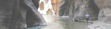 The Zion Narrows