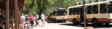 Shuttle Busses