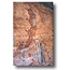 White Shaman Rock Art Site