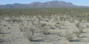 A vast desert landscape