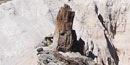 Lava neck near Castolon