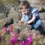 Watching cactus flowers