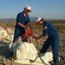 Preparing to remove fossils