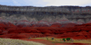 Red chugwater cliffs at Horseshoe Bend, photo by Sharon Genaux