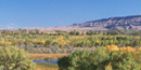 North Yellowtail Habitat Management Area in the fall