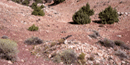 Bad Pass Trail marked by rock cairns, photo by S. Morstad