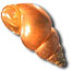 New Zealand Mudsnail