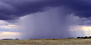 Summer Monsoon