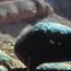 Black boulder sits among the red colors of Capitol Reef National Park