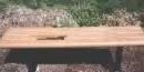Color photograph of burned bench.